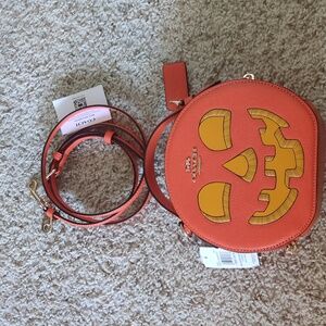Coach Halloween Pumpkin Canteen Crossbody